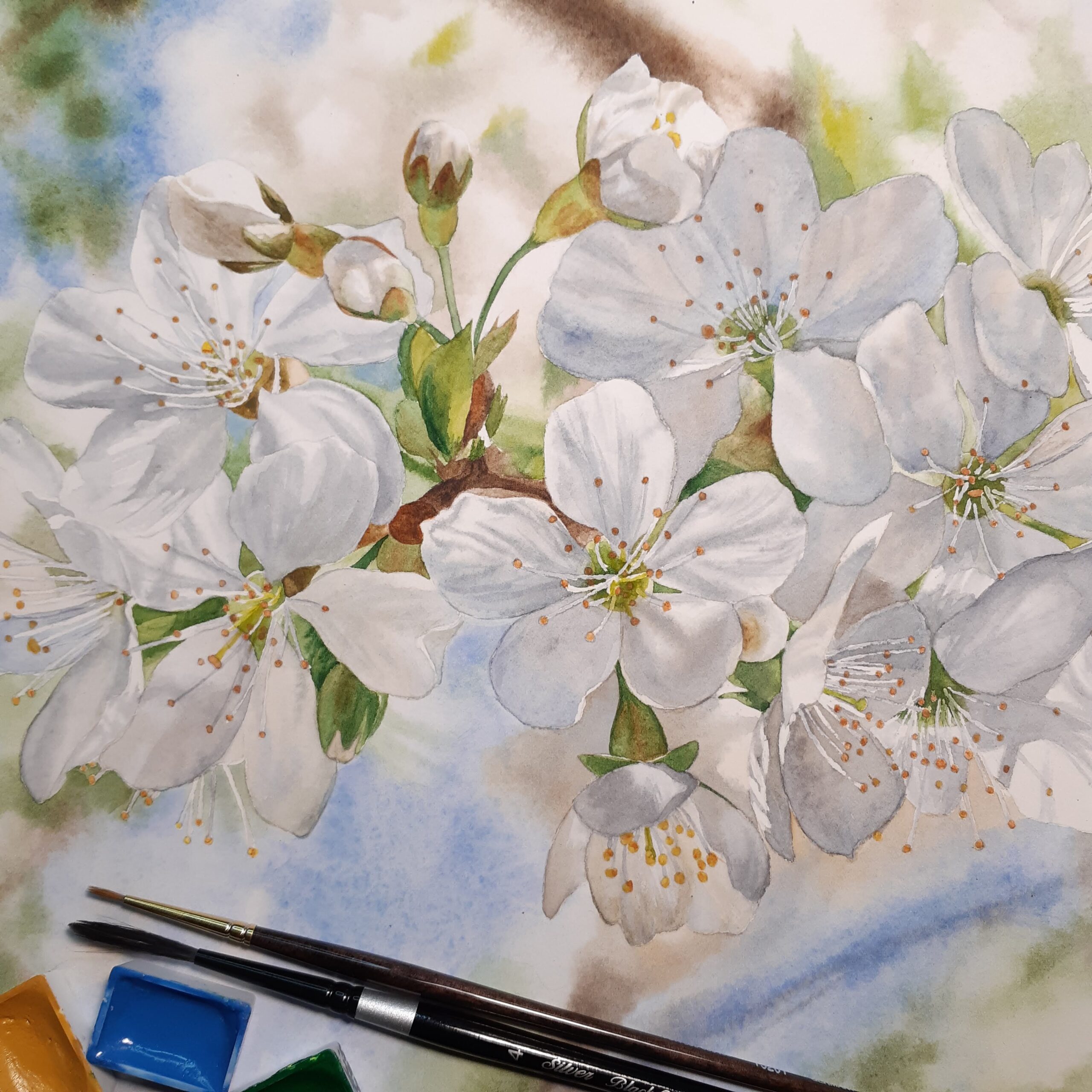 Cherry Blossoms - Image 2