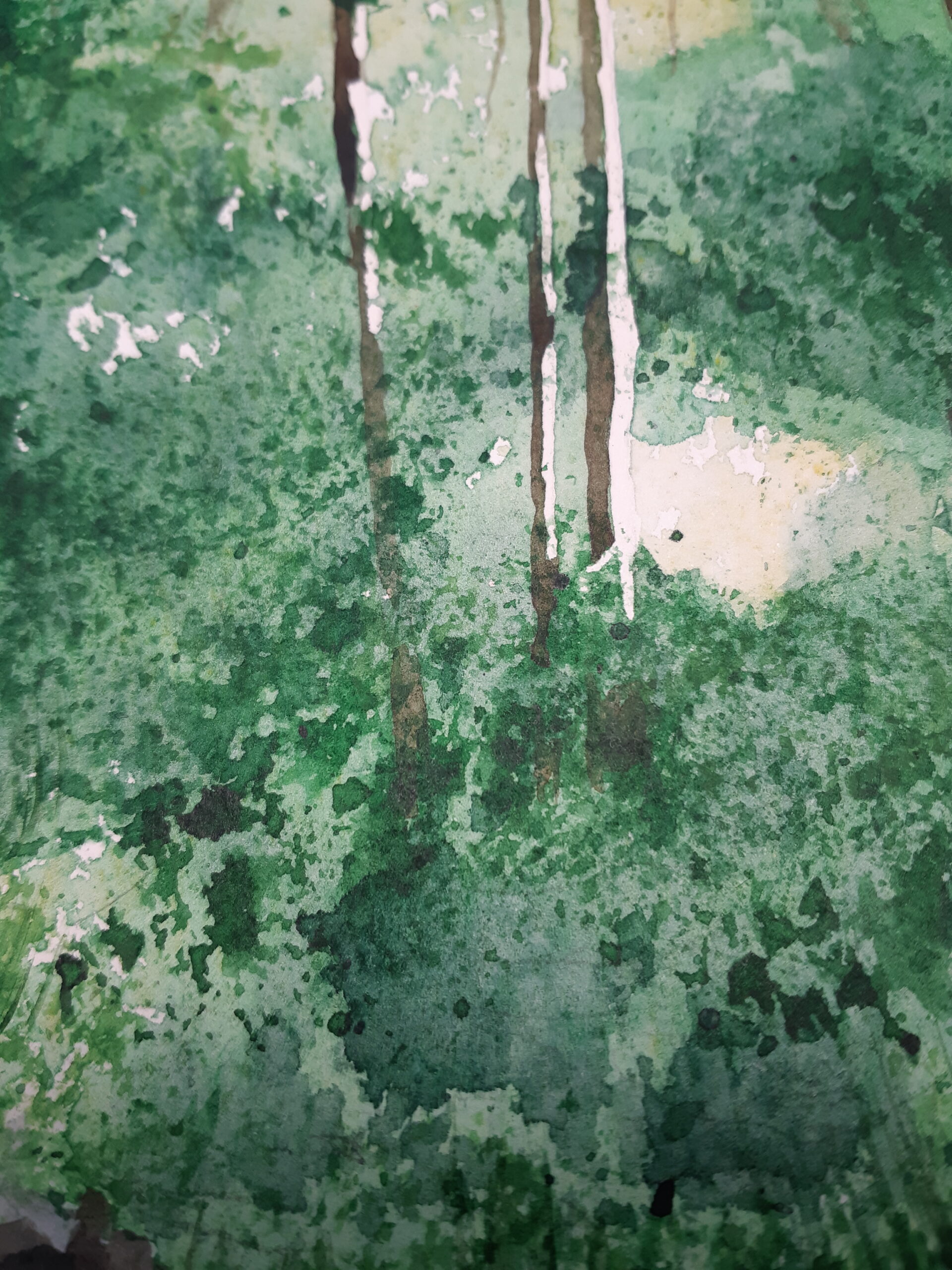 Mountain Stream - Image 3