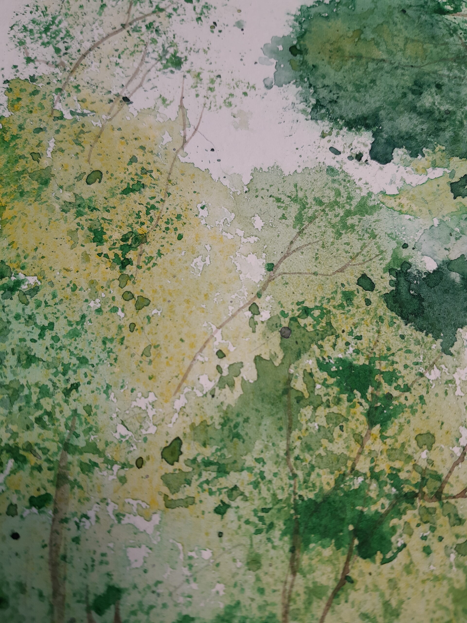 Mountain Stream - Image 4