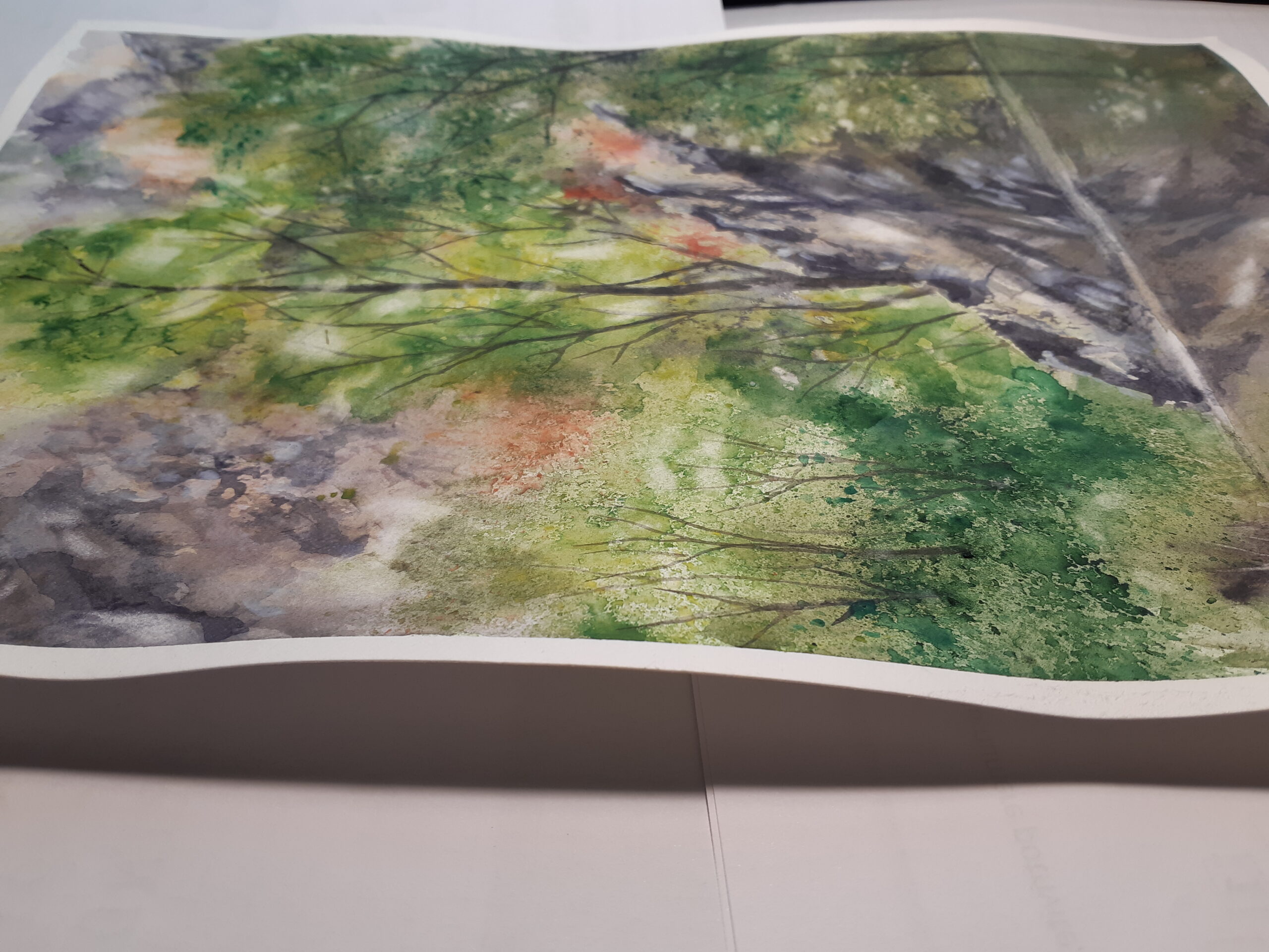 Landscape at Rudaria (Watermills) - Image 3