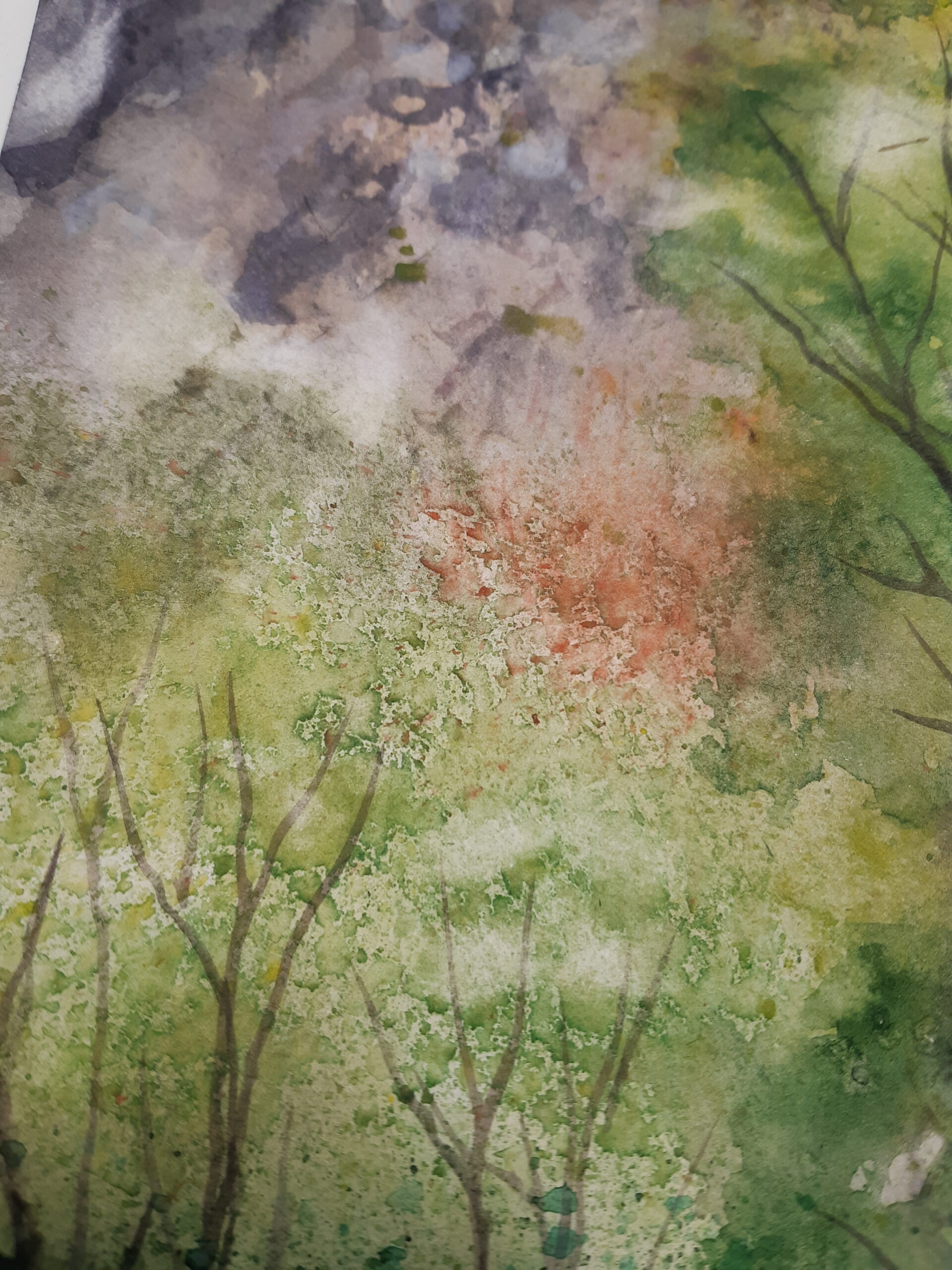 Landscape at Rudaria (Watermills) - Image 5