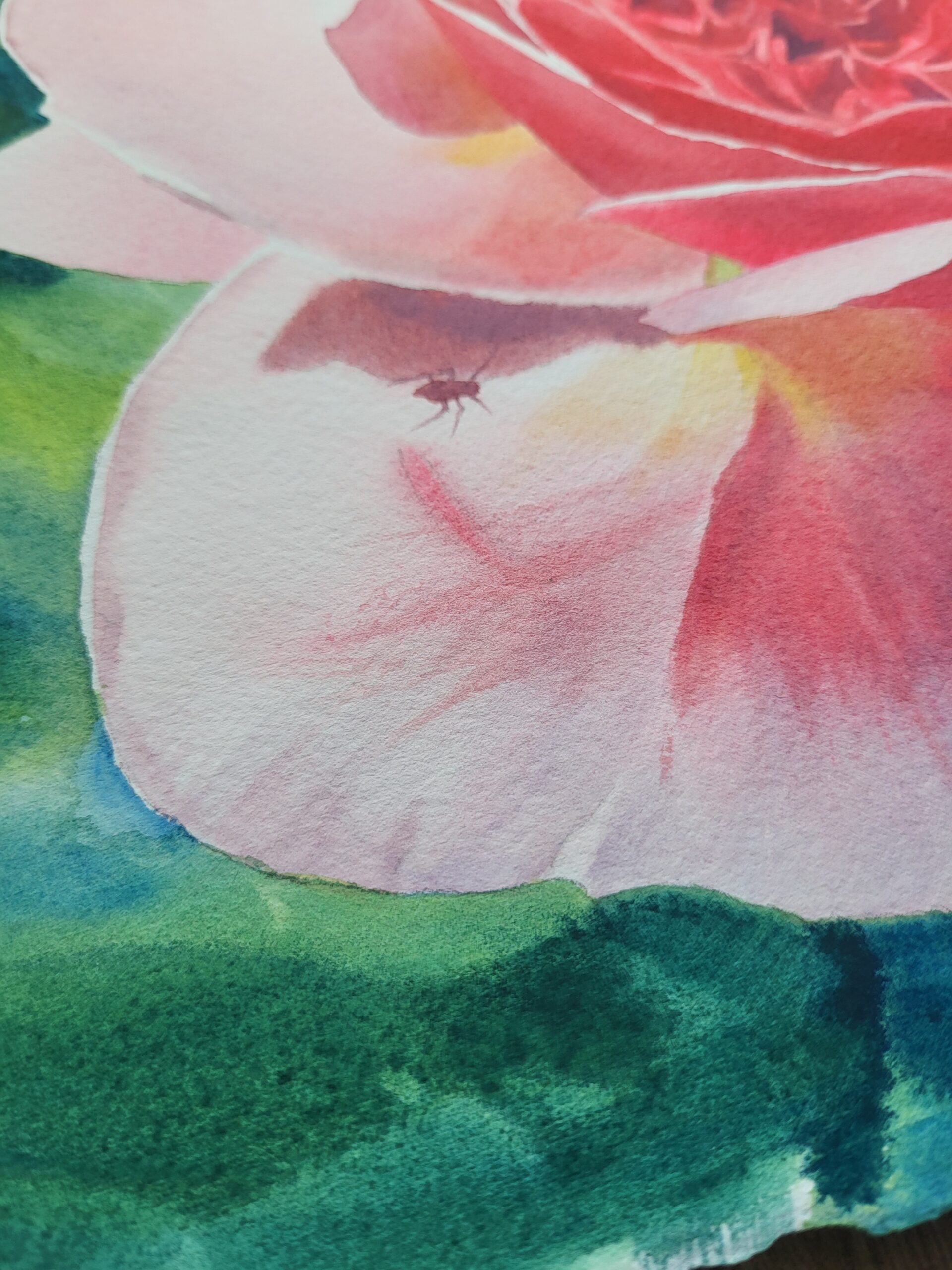 The Pink Rose - Image 3