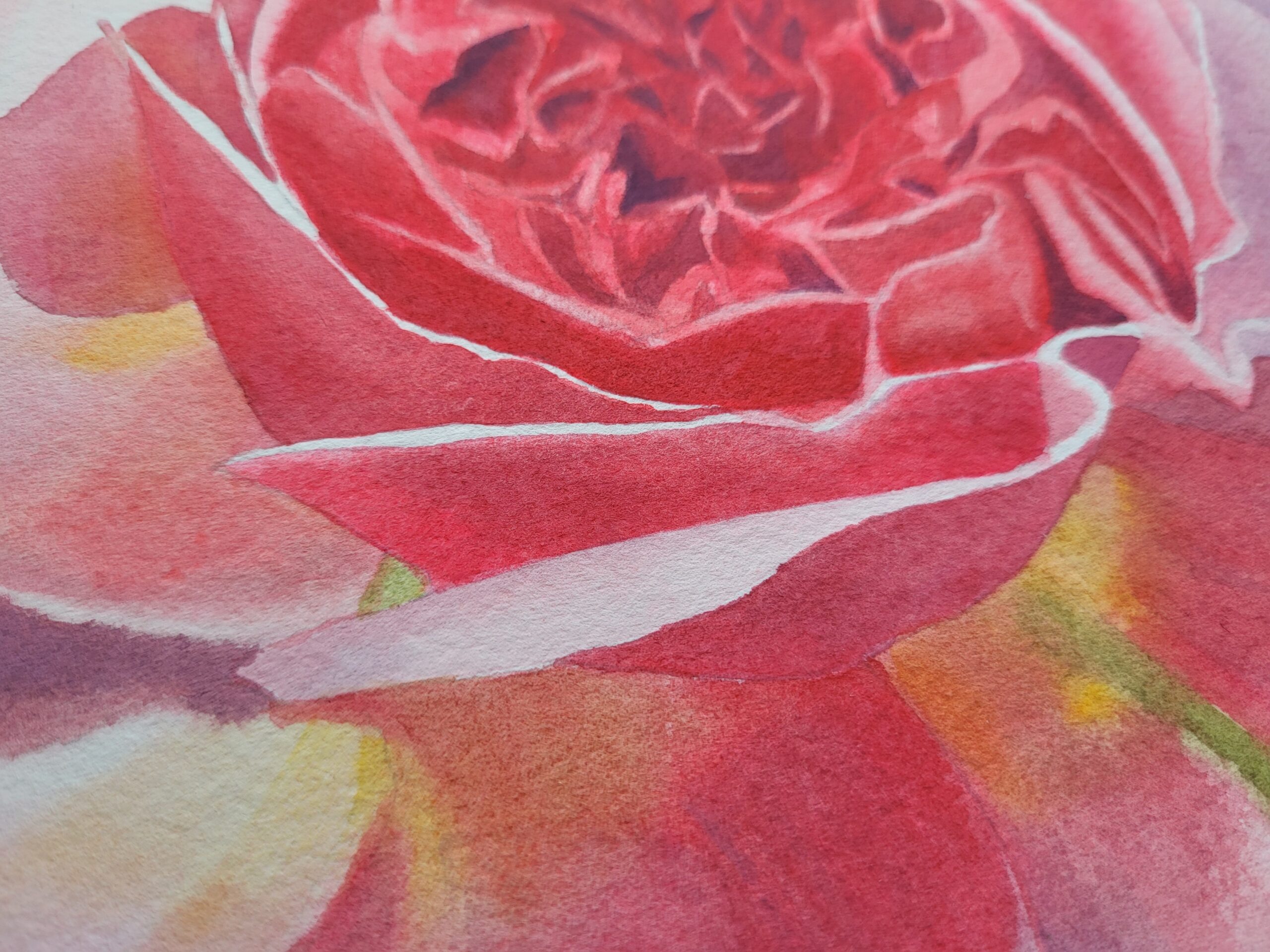 The Pink Rose - Image 6