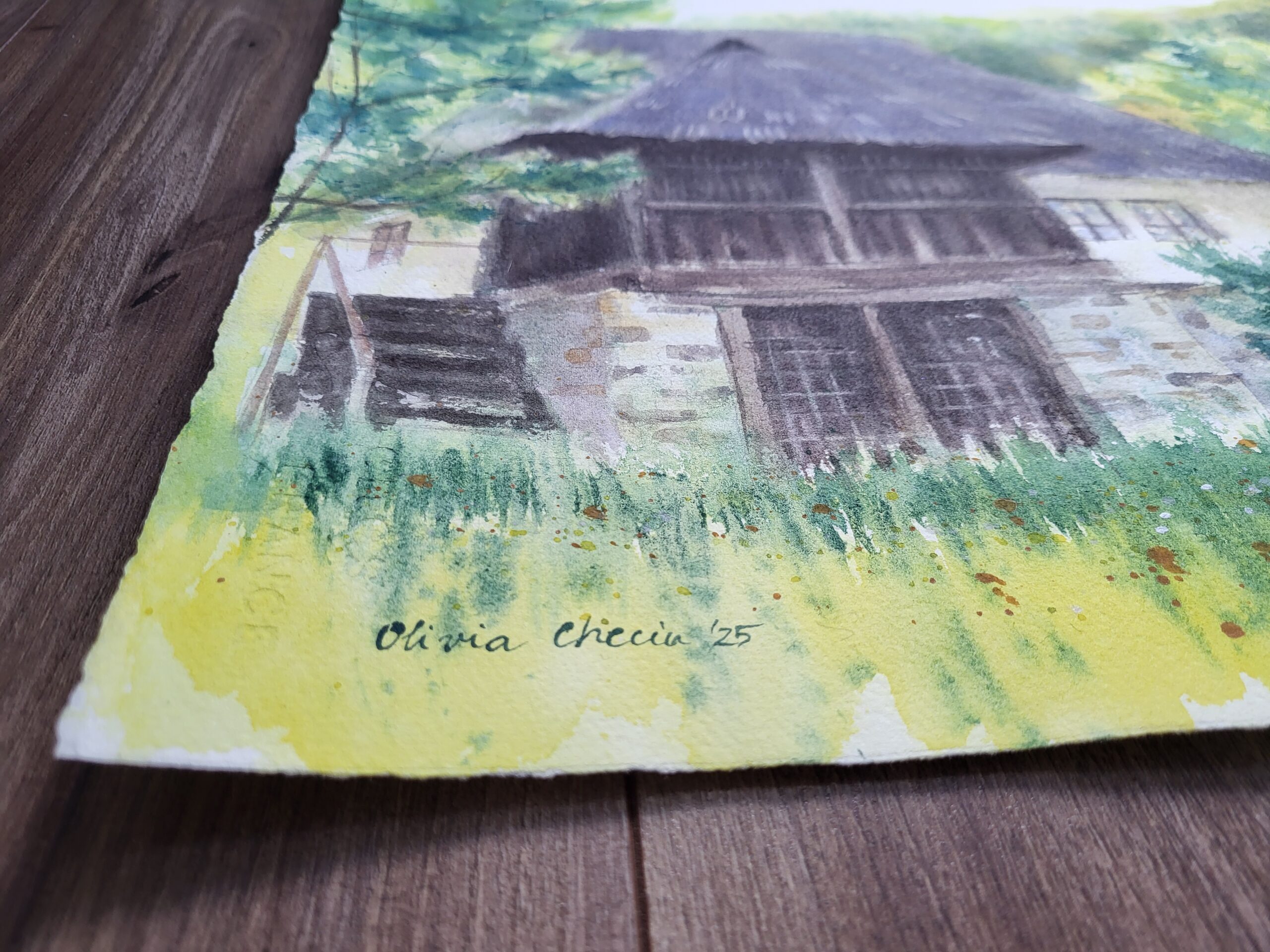 Traditional Romanian Household in the Afternoon Light - Image 3