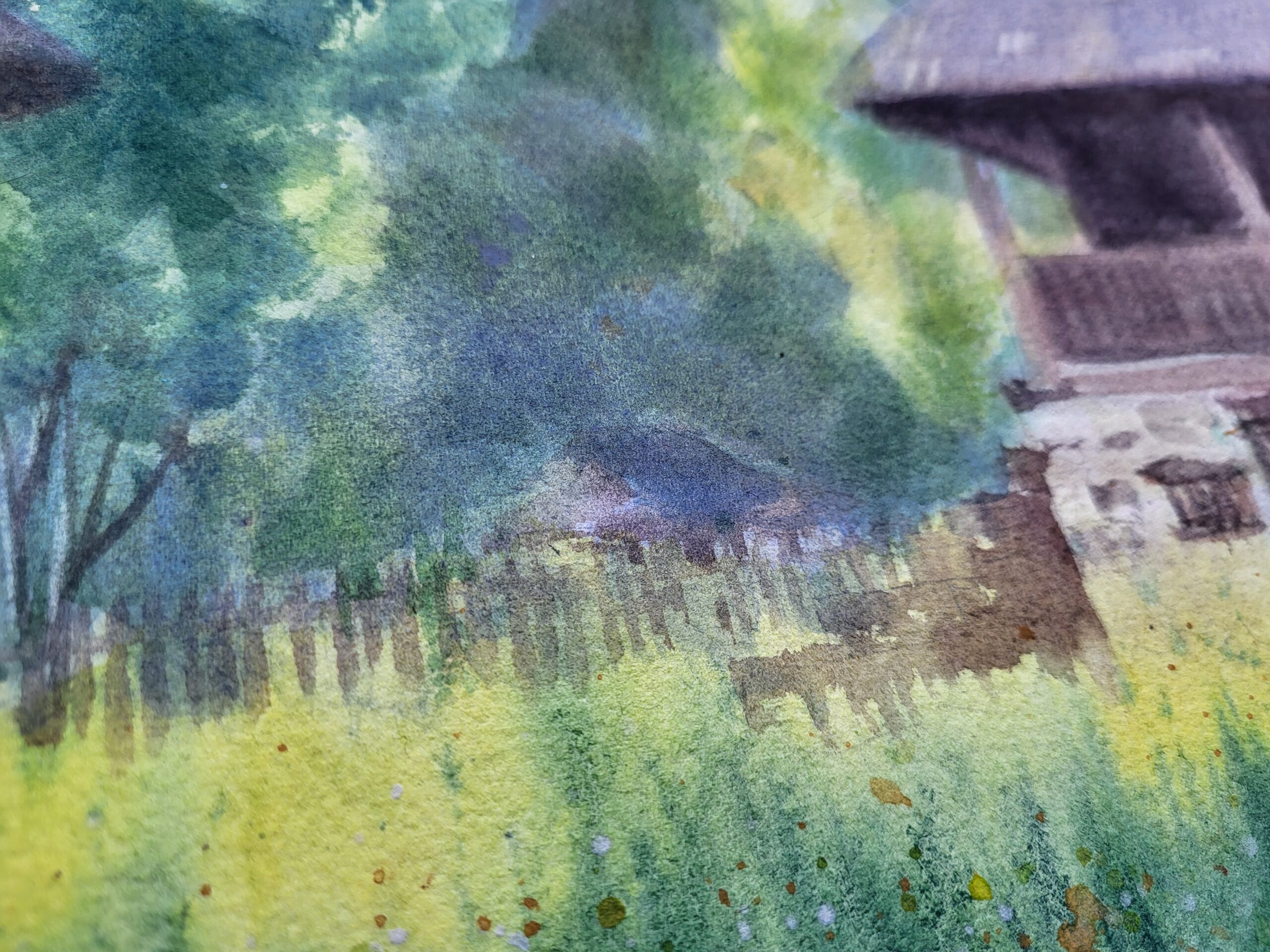 Traditional Romanian Household in the Afternoon Light - Image 6