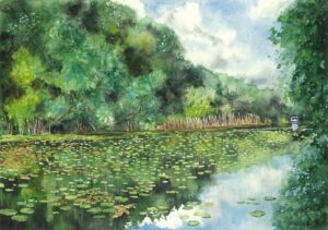 Lazy Summer Afternoon