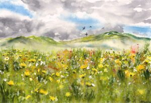 Wild Flowers in the Mountains