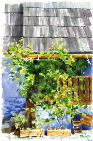 Traditional Romanian House in Sibiu Village Museum