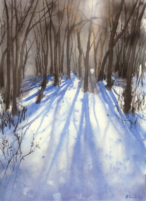 Plimbare de iarnă no. 1