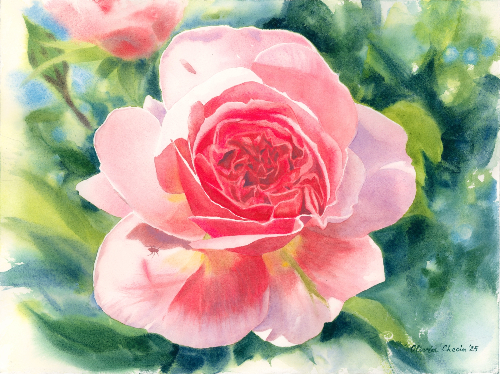 "Songs for a Gentle World" Collection - Image 2