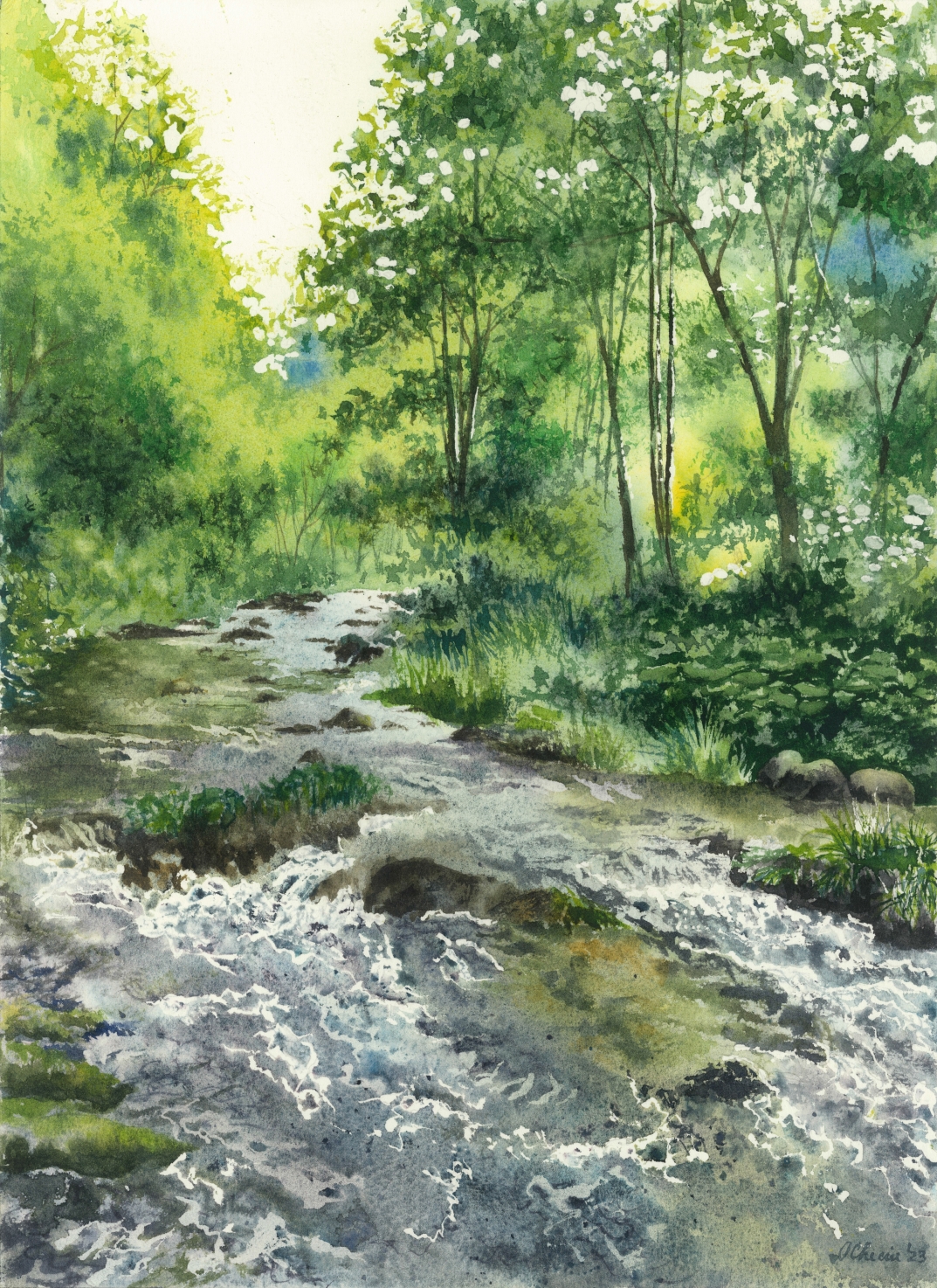 "Whispers of Nature" Collection - Image 3