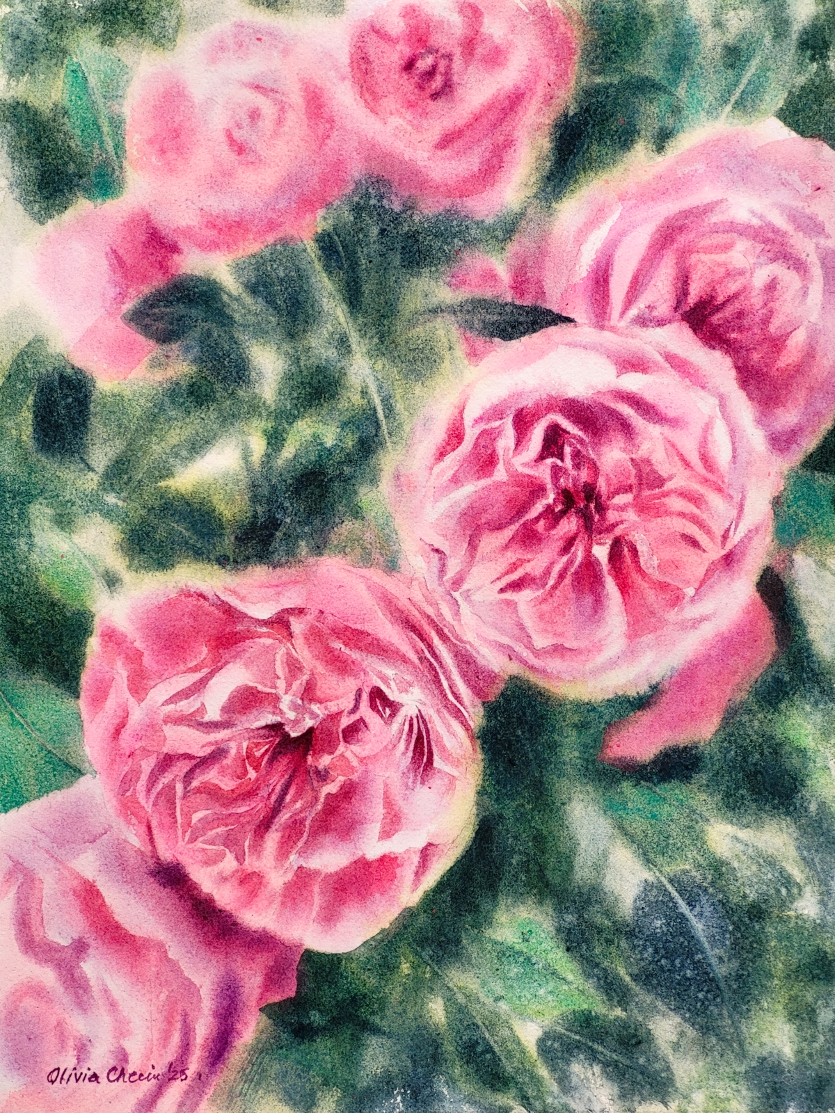 "Songs for a Gentle World" Collection - Image 4