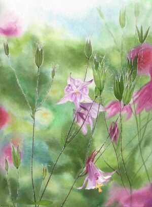 Căldărușe la apus