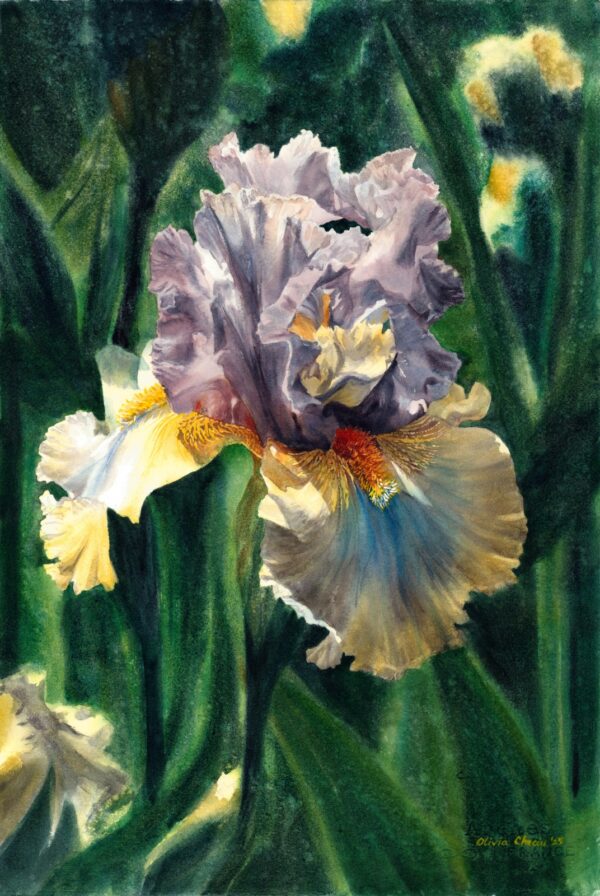 "Purple and Yellow Iris" original watercolor painting depicting a delicate purple bearded iris with yellow accents blooming in a lush garden, surrounded by soft green foliage and natural light. The large flower dominates the entire sheet of paper.