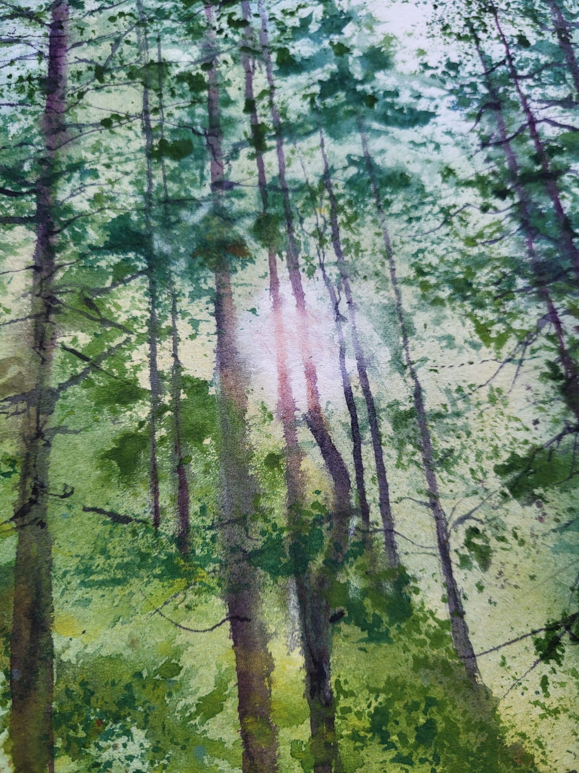 Up in the Mountains - Image 5