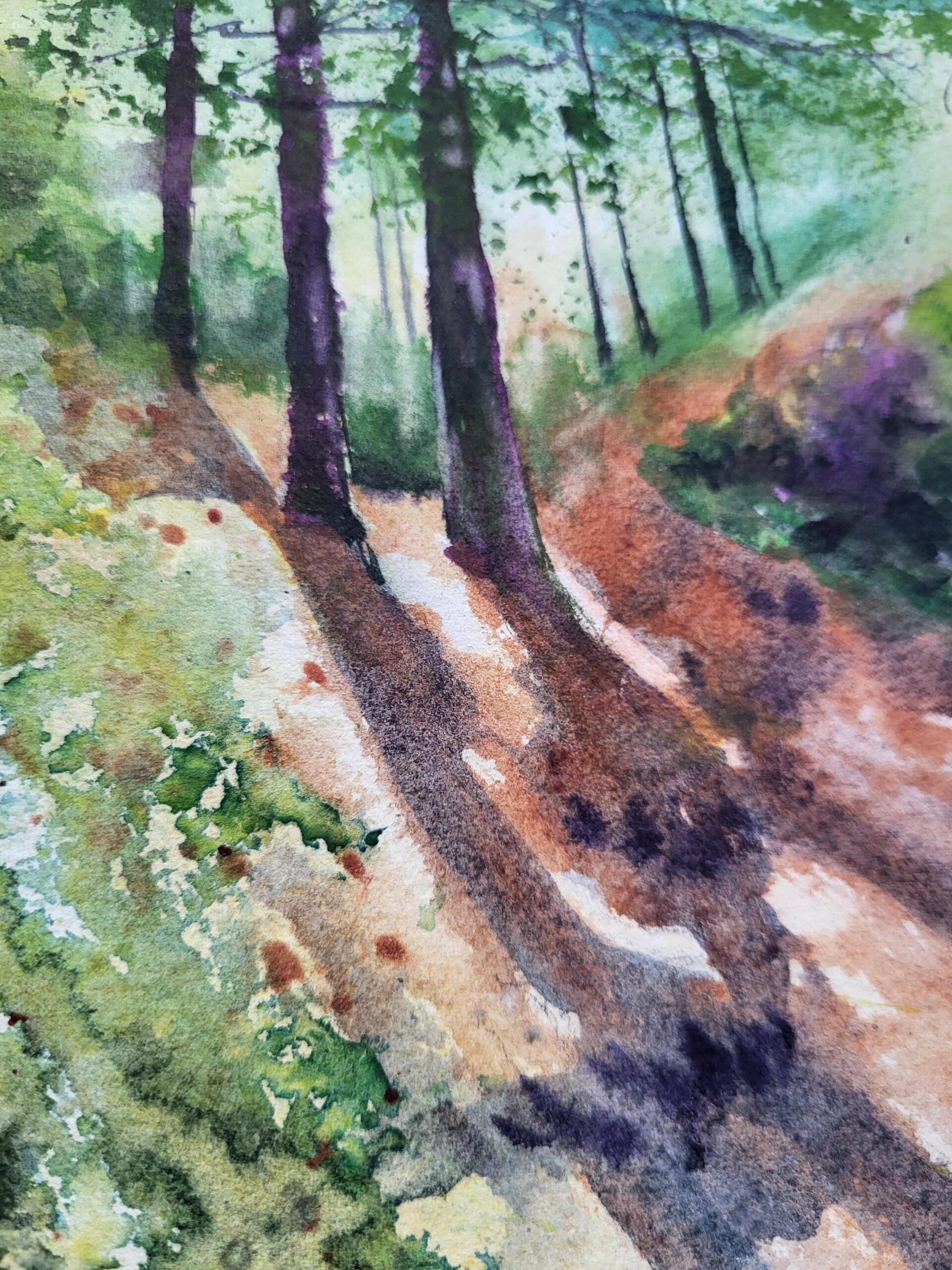 Up in the Mountains - Image 3