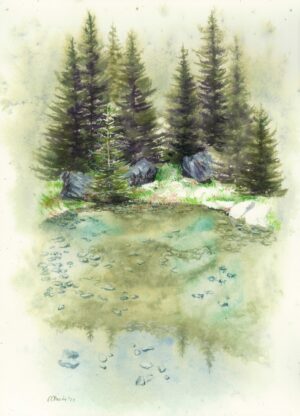 Small Lake and Fir Trees