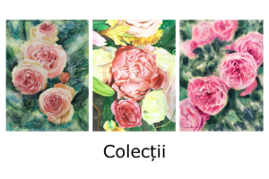 Colecții