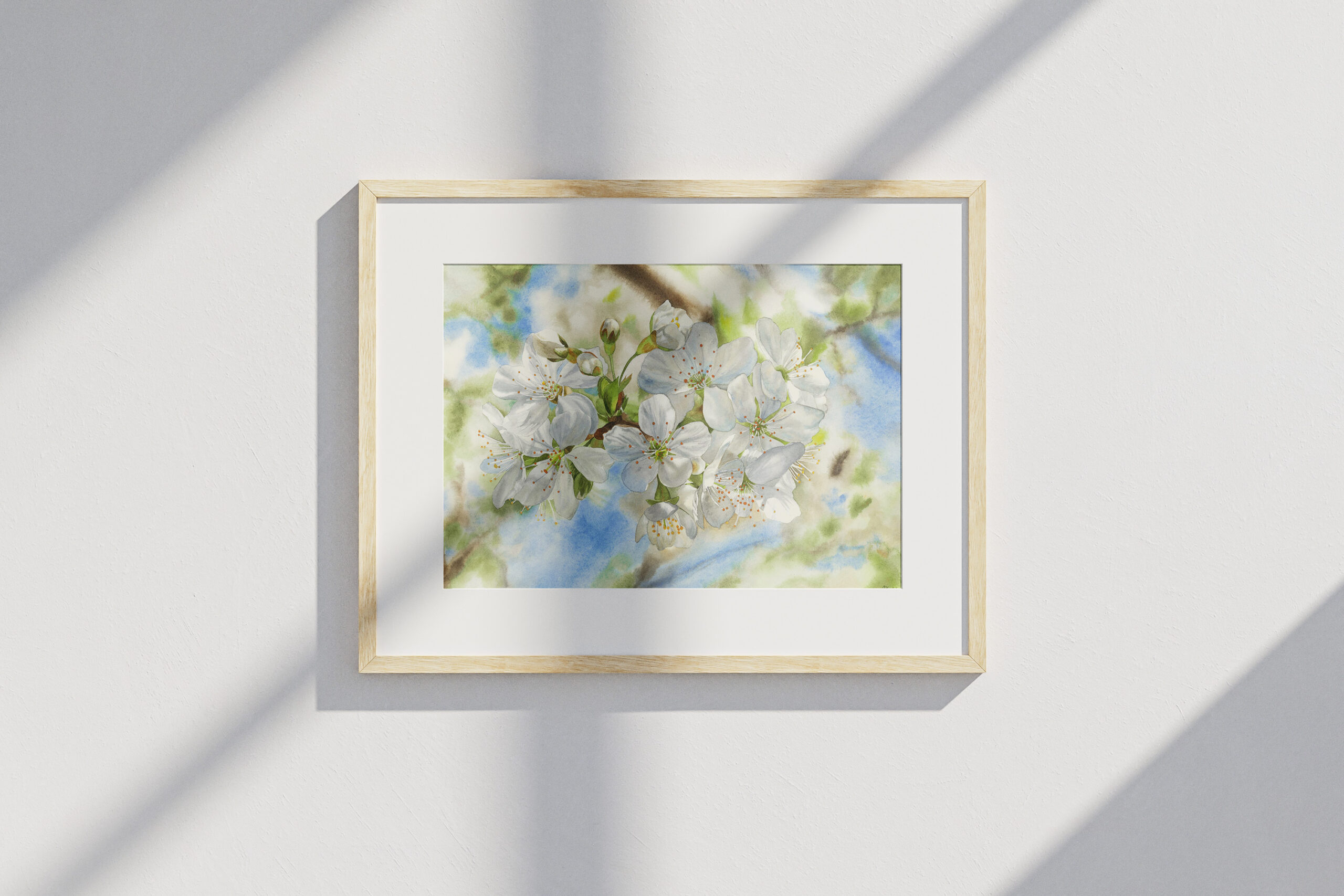 Cherry Blossoms - Image 7