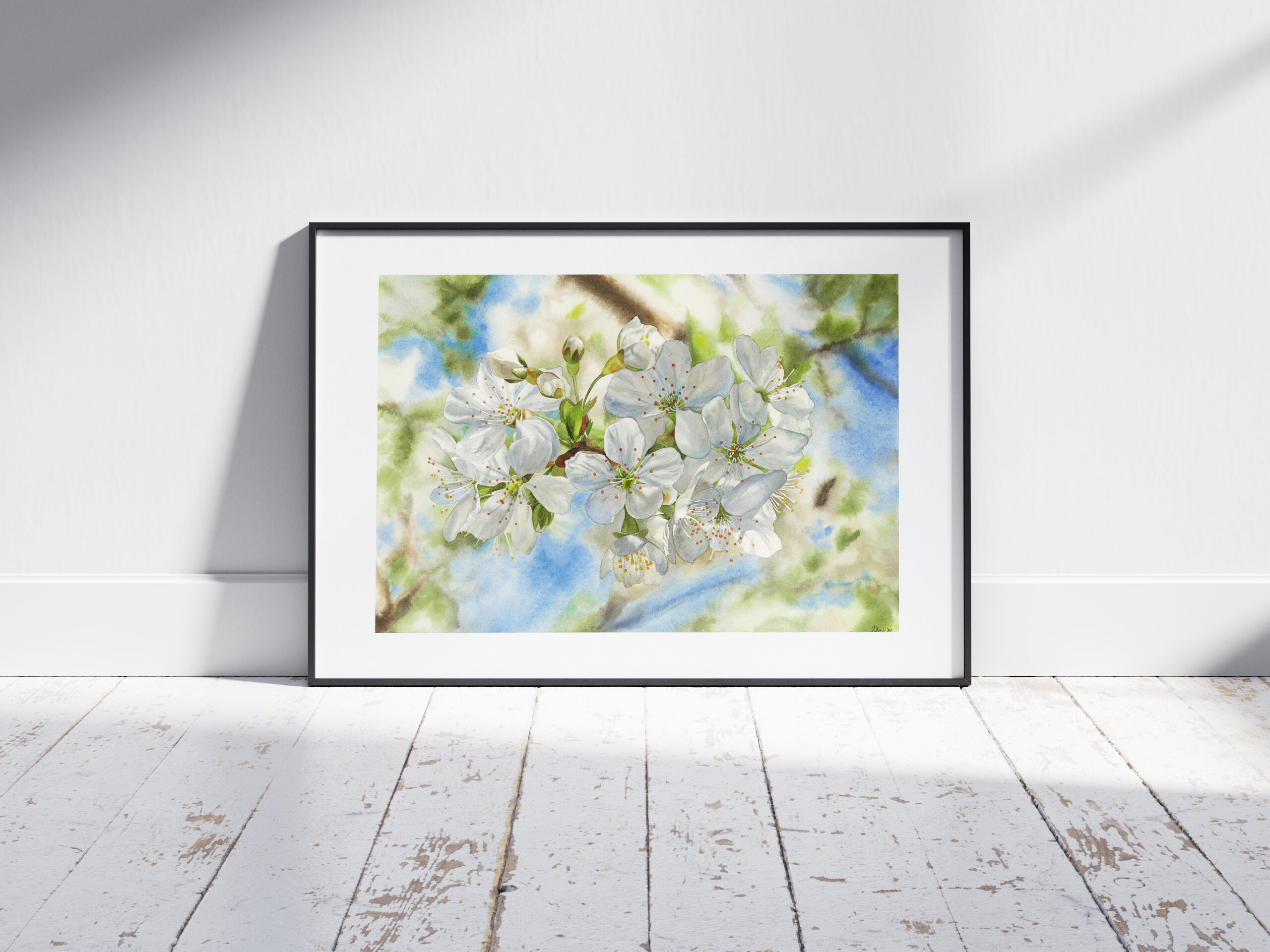 Cherry Blossoms - Image 6