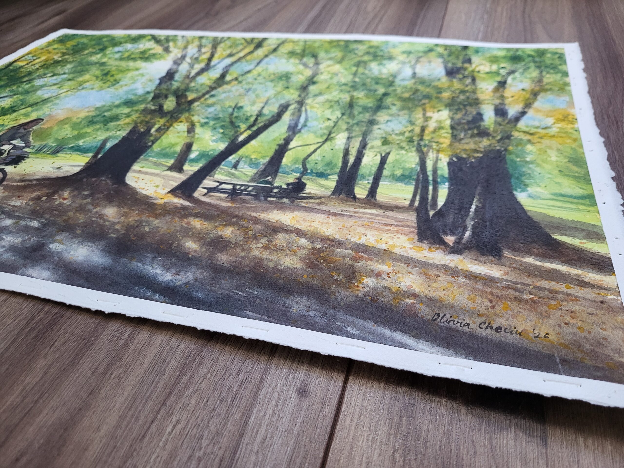 Duminica în parc - imagine 6