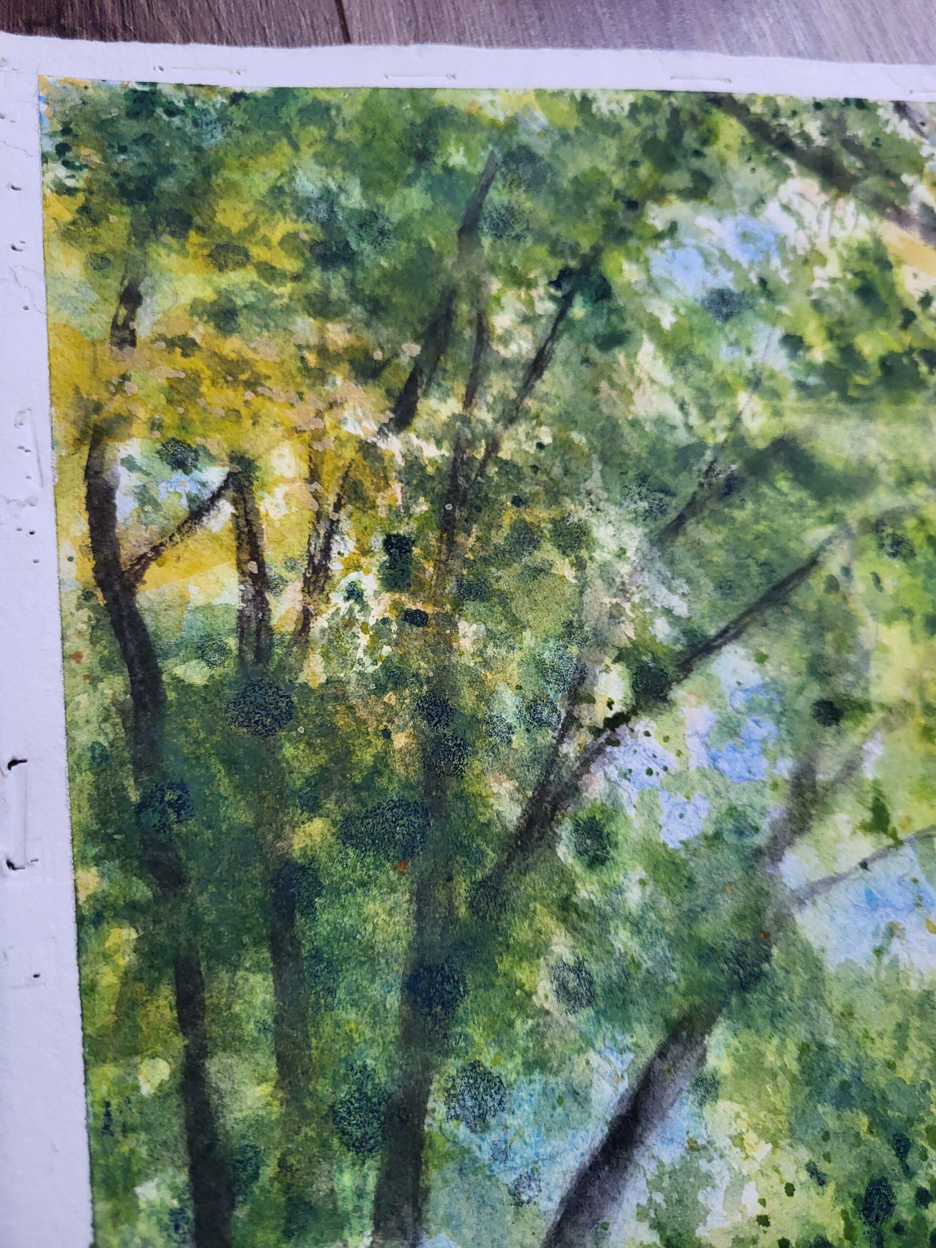 Duminica în parc - imagine 11